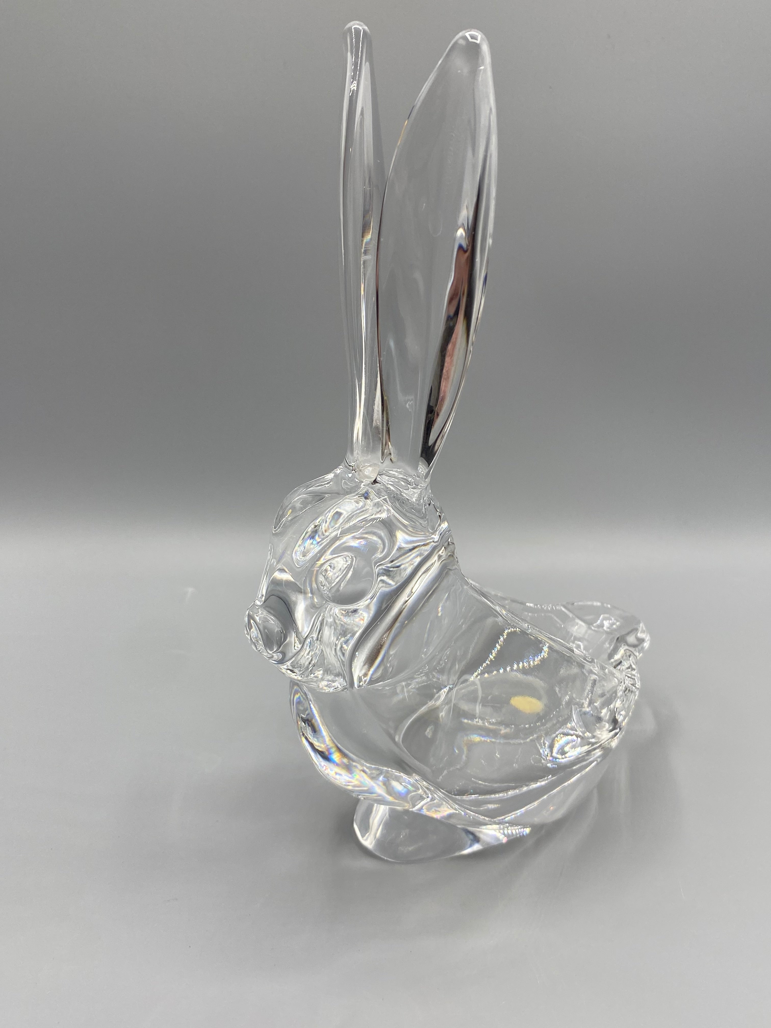 Lapin cristal Vannes-le-Châtel – vue de face oreilles dressées