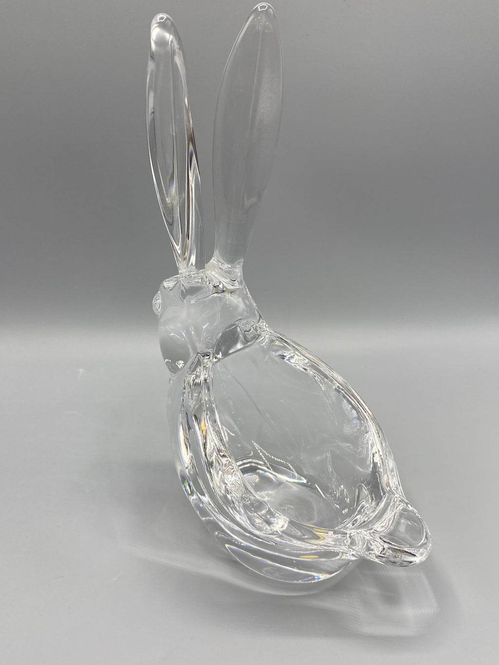 Lapin cristal Vannes-le-Châtel – vue trois quarts droite