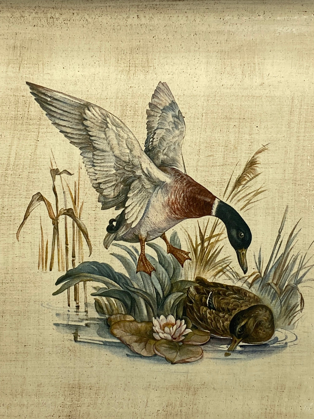 Détail du décor : canards colverts, roseaux et nénuphars sur fond crème patiné