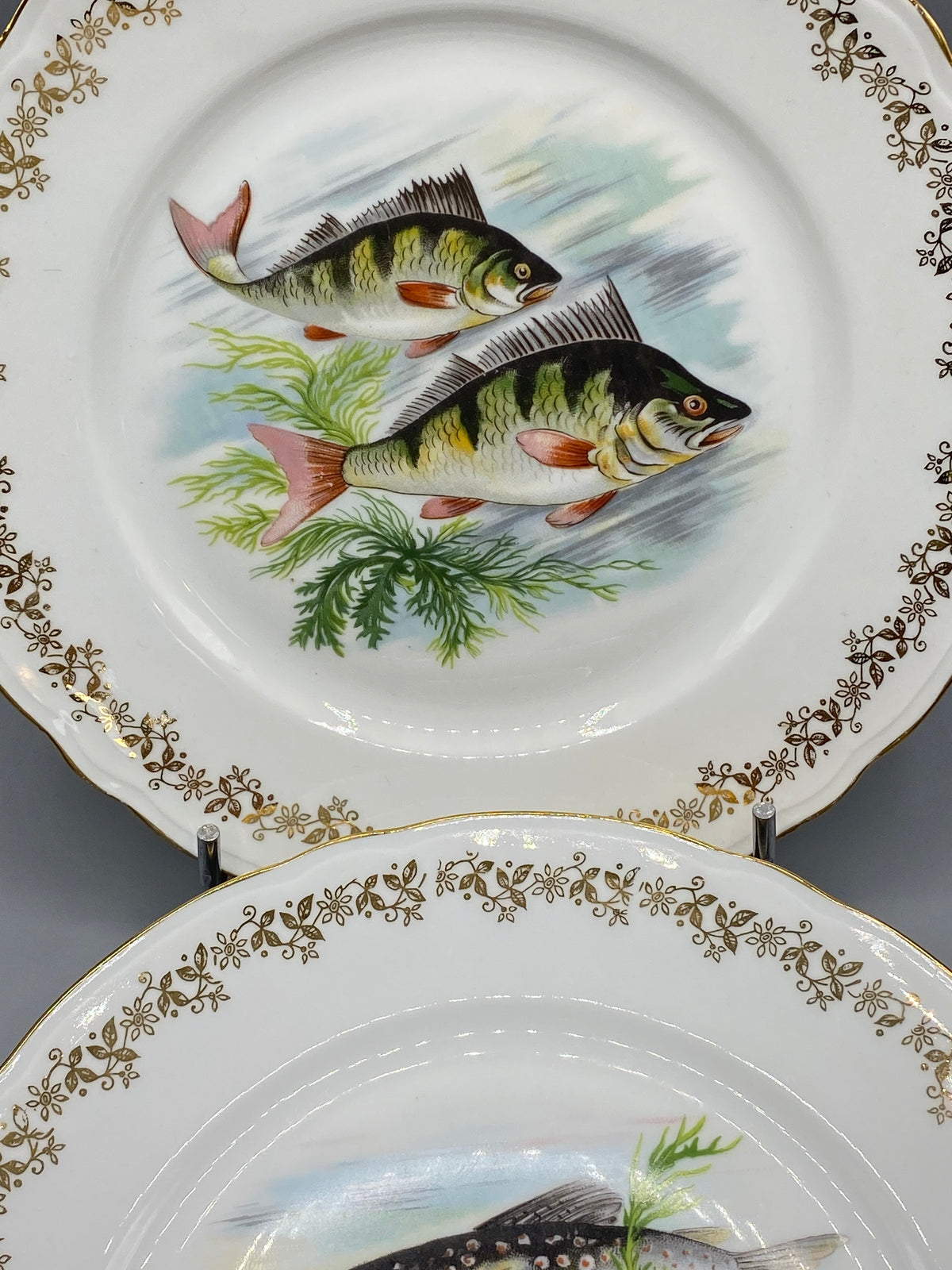 Ensemble de six assiettes à poisson en porcelaine française à bord doré