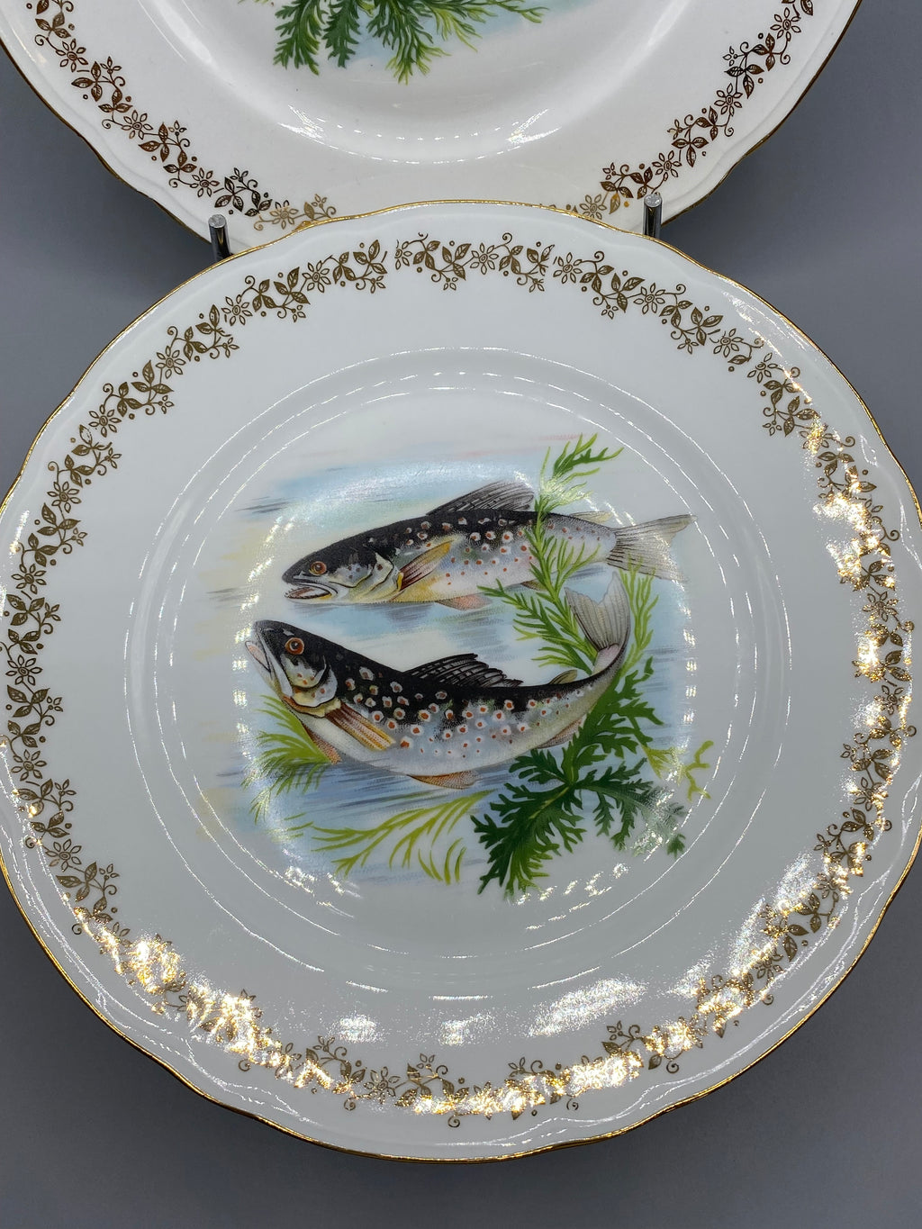 Détail des poissons d’eau douce et de la frise dorée