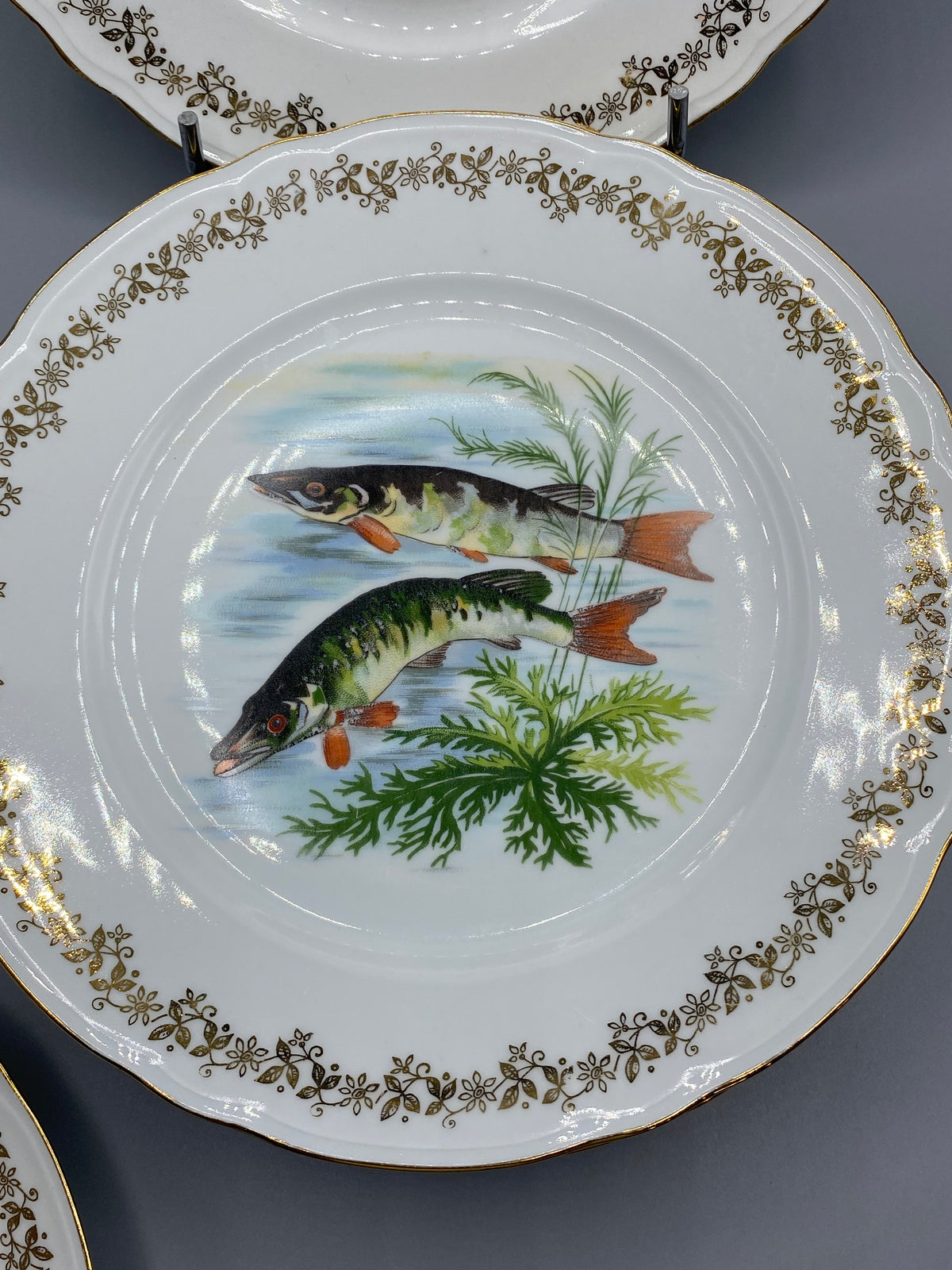 Assiette à poisson à décor de poissons de rivière et végétation
