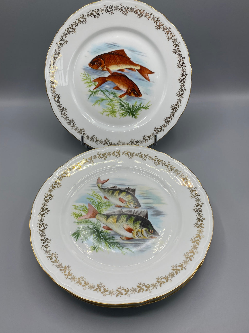 Mesure du diamètre des assiettes à poisson environ 24 cm
