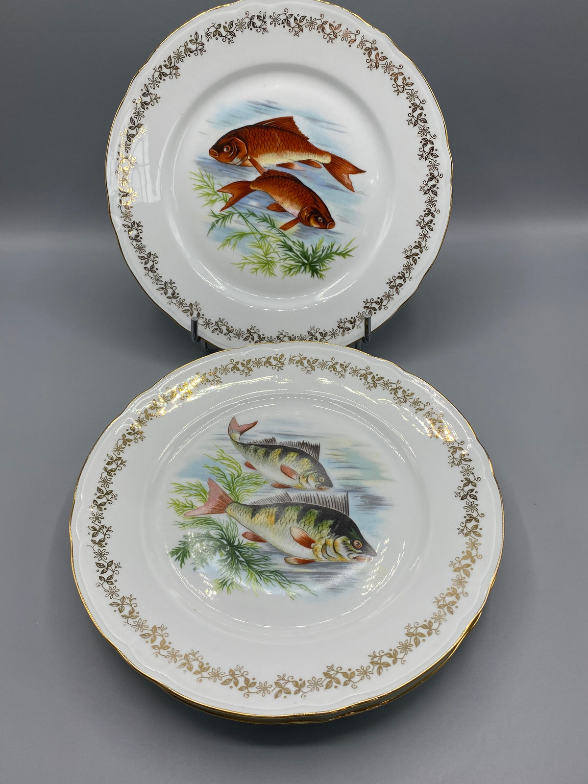 Mesure du diamètre des assiettes à poisson environ 24 cm