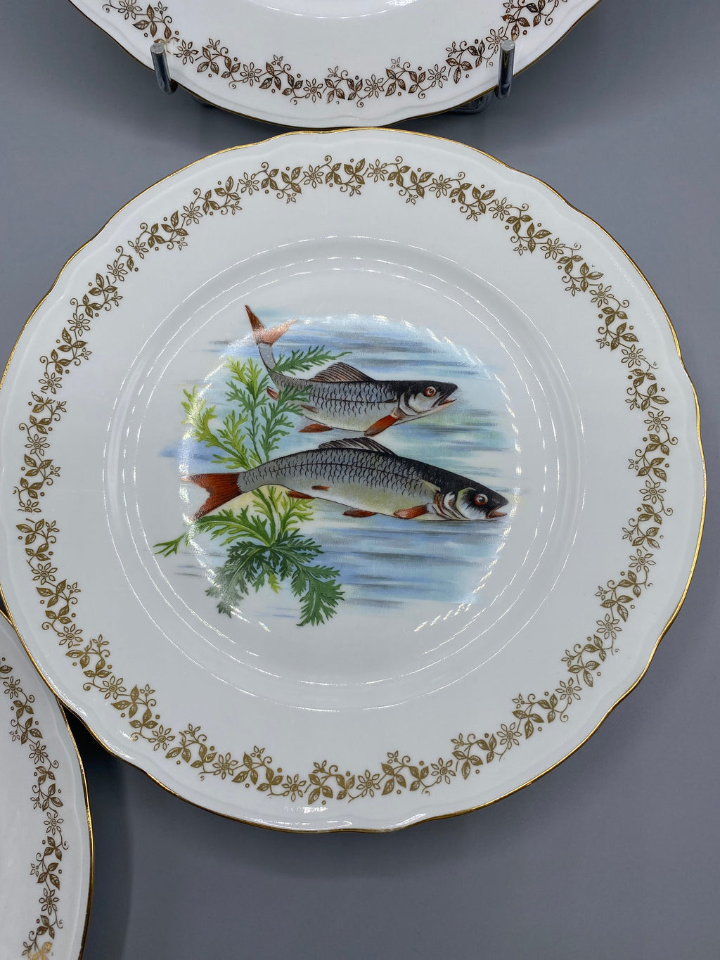 Deux assiettes à poisson en porcelaine à scènes aquatiques distinctes