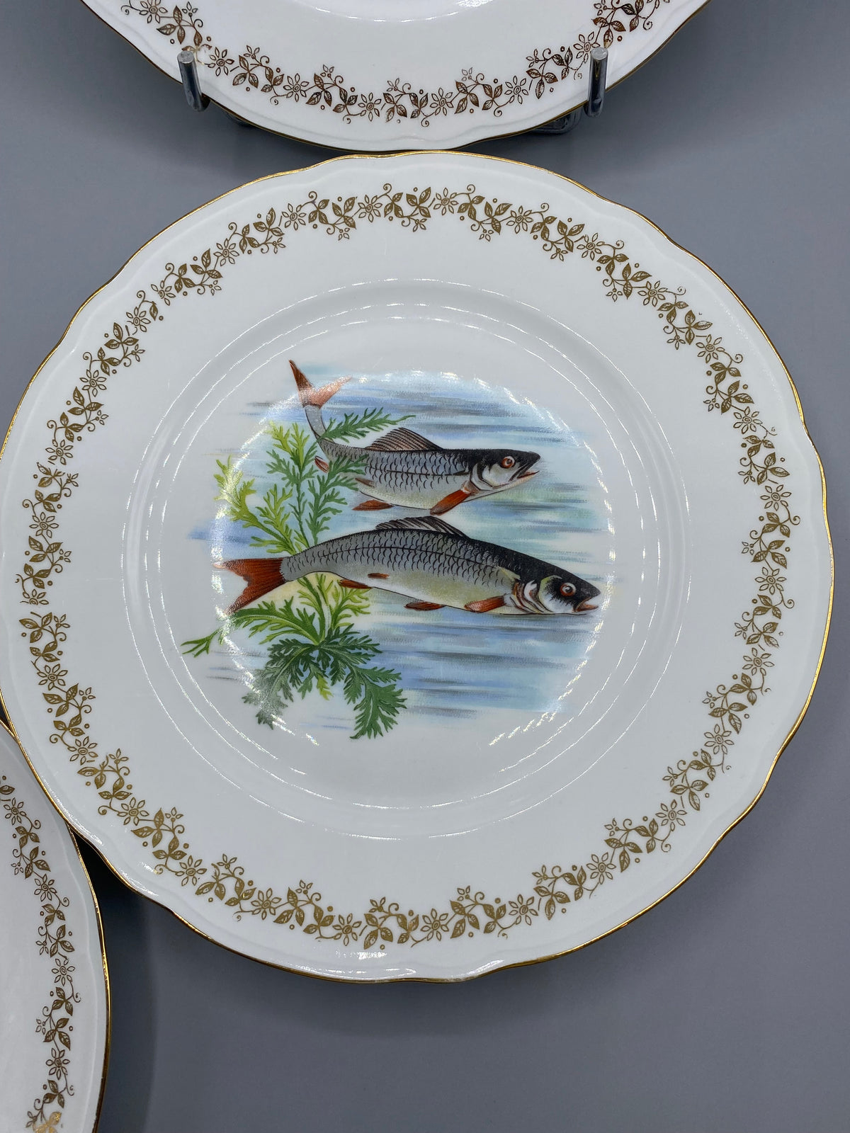 Deux assiettes à poisson en porcelaine à scènes aquatiques distinctes
