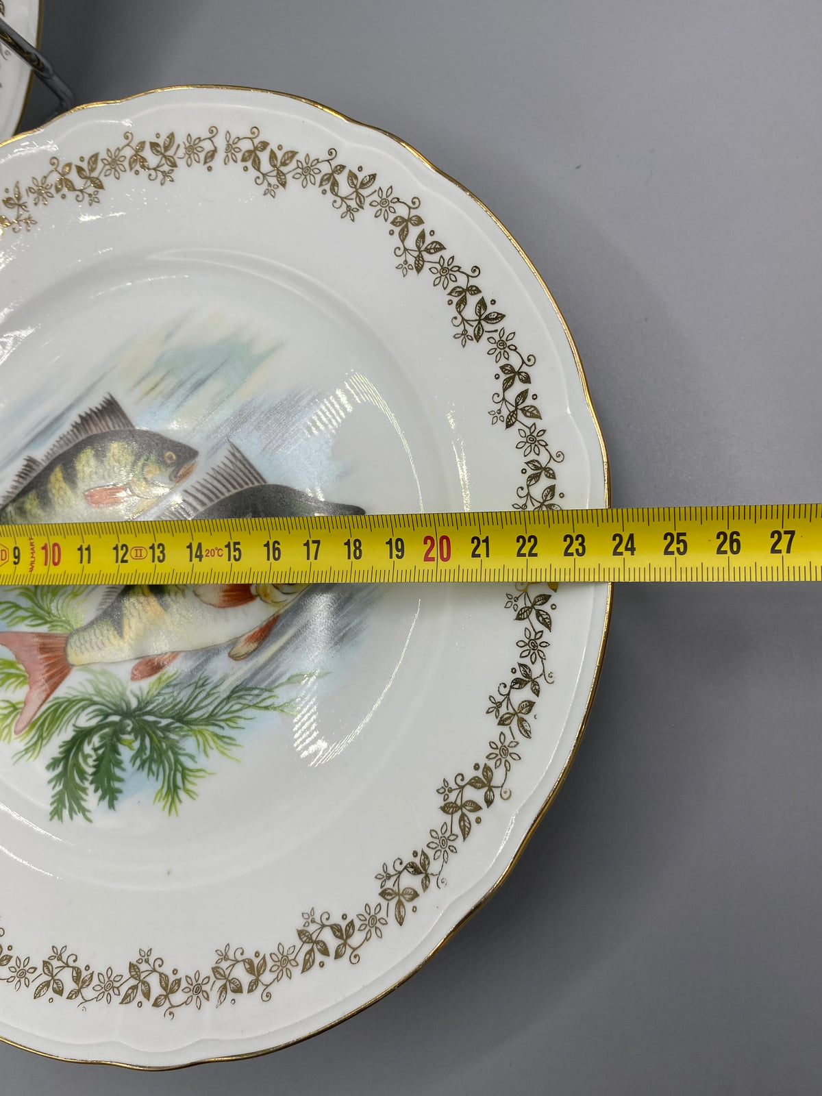 Assiette en porcelaine à deux poissons de rivière et filet doré