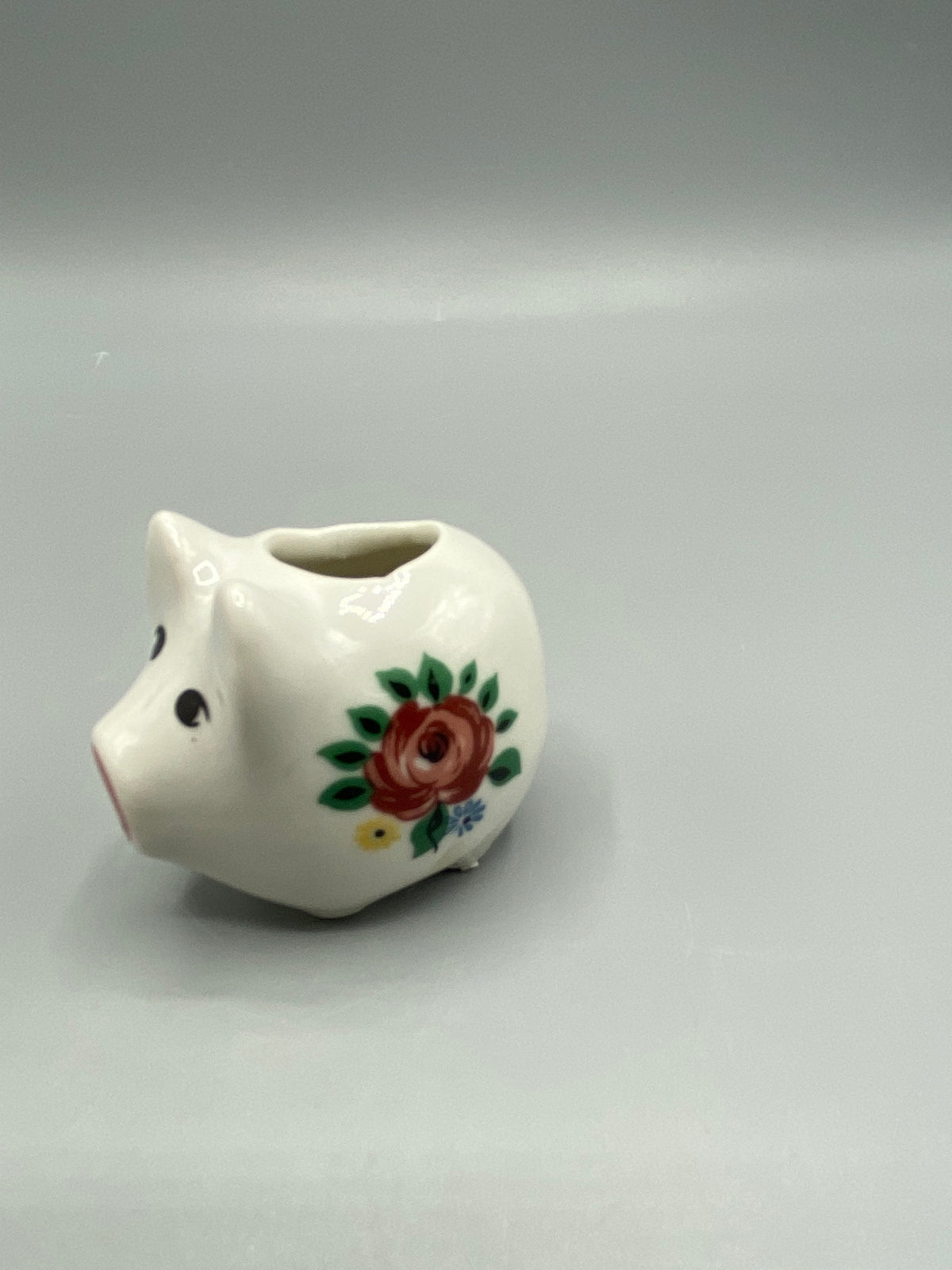 Vue de profil du cochon miniature et de son décor de roses