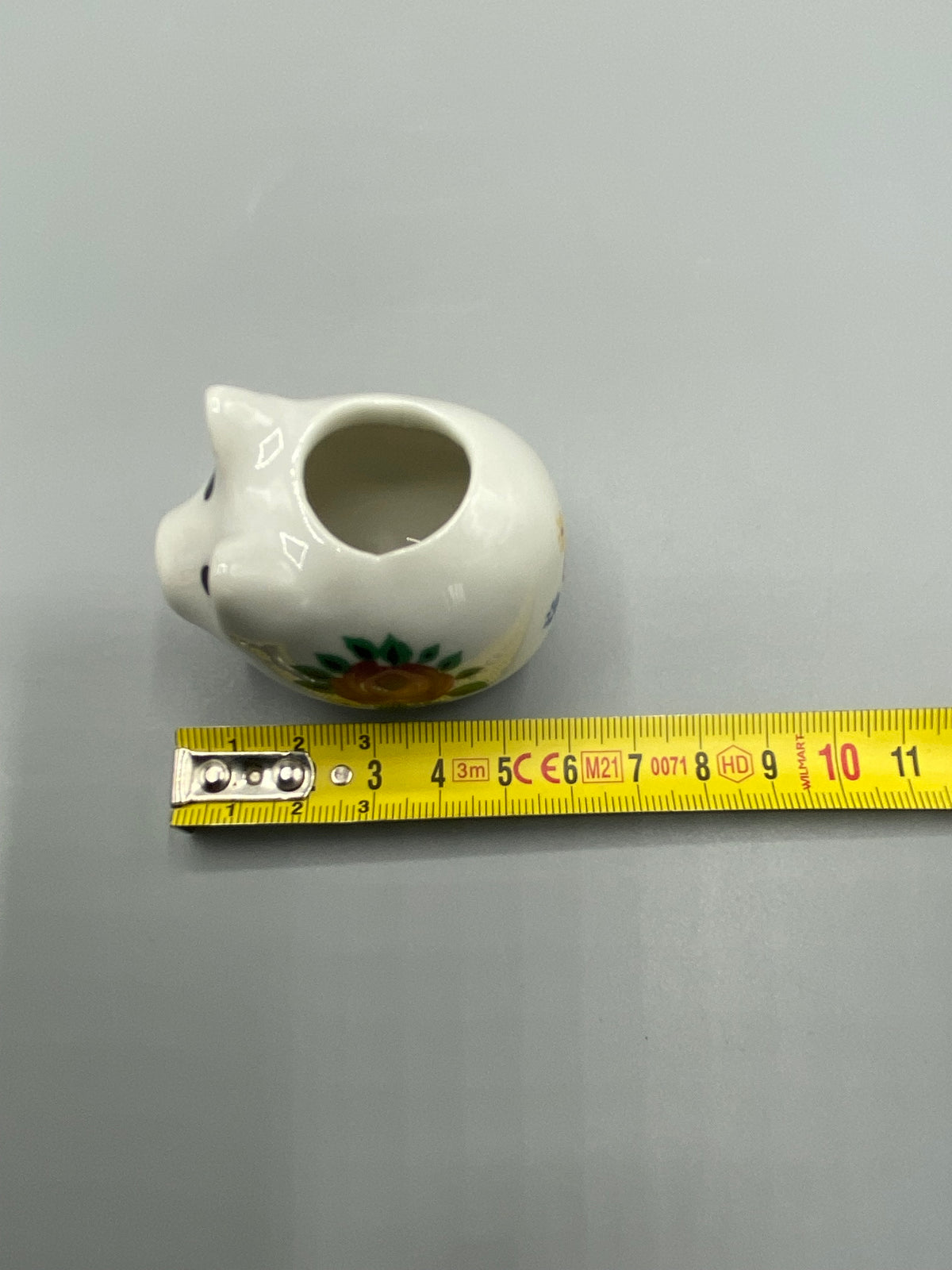 Mesure de longueur du cochon miniature