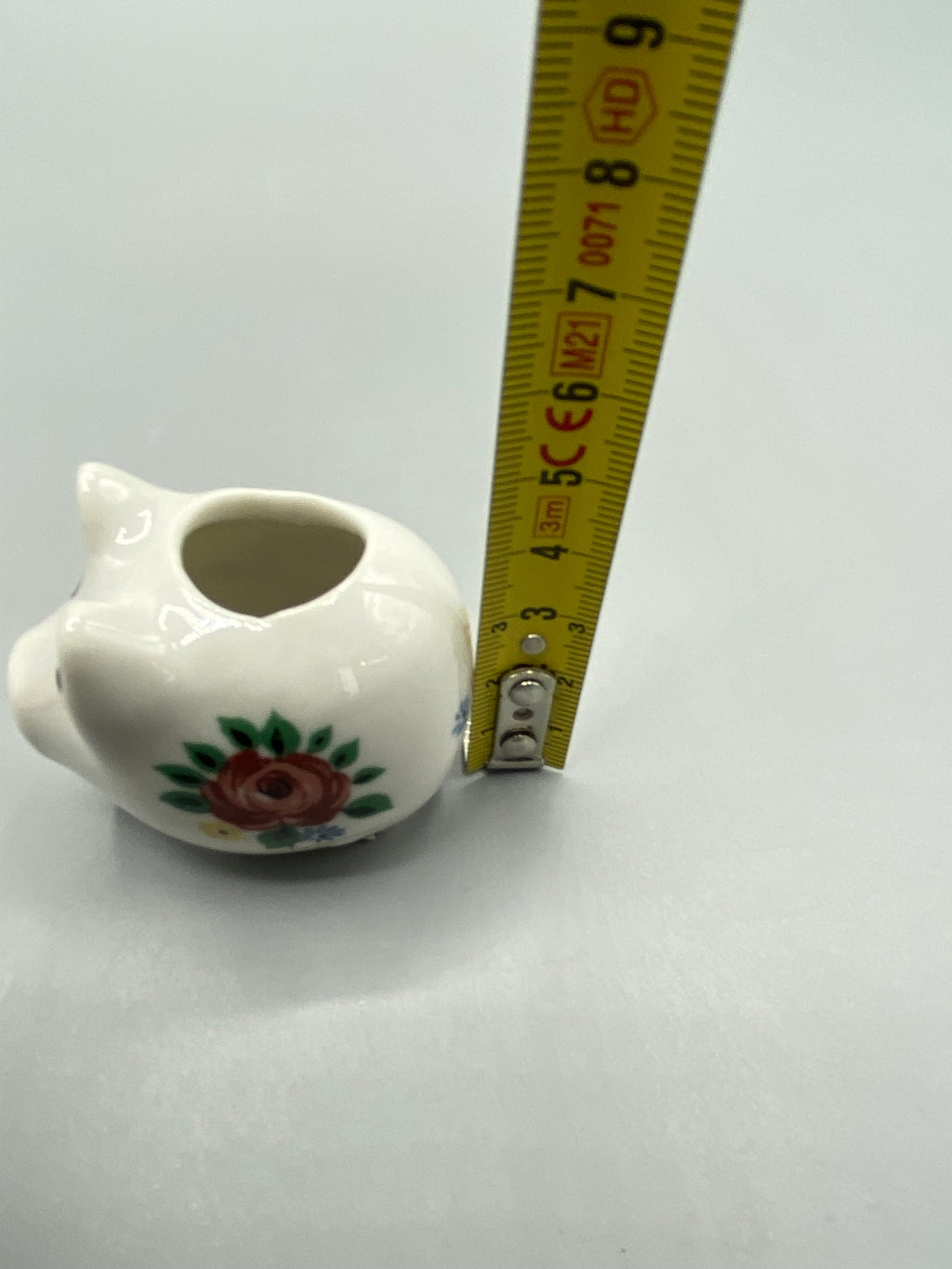 Mesure de hauteur du cochon miniature